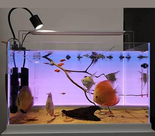 【lcl63】カラーLEDライトスクリーン 60cm x 36cm