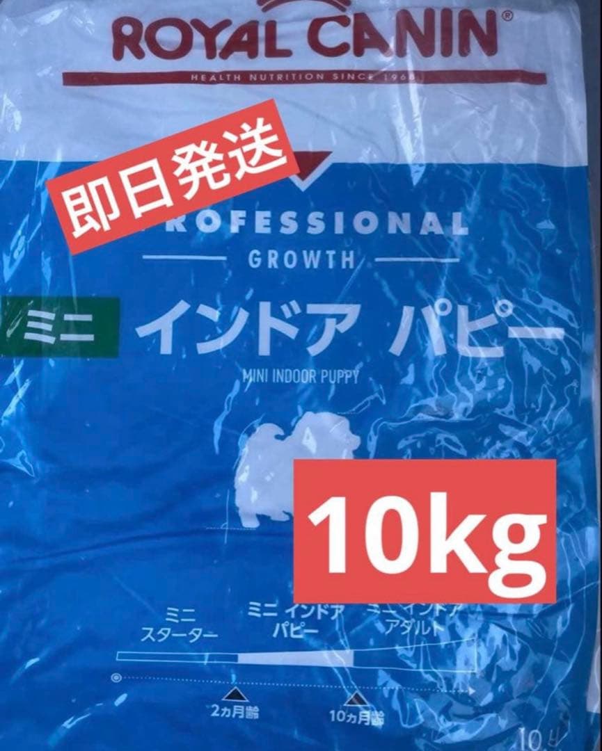  CANIN ミニインドアパピー　ミニインドアアダルト