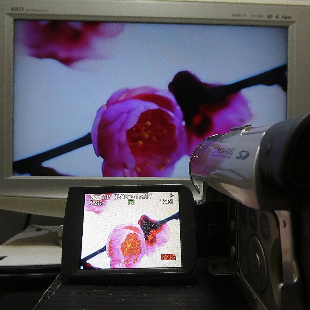 動作良好 パナソニックNV-GS120 MiniDVビデオ　デジタルダビングに