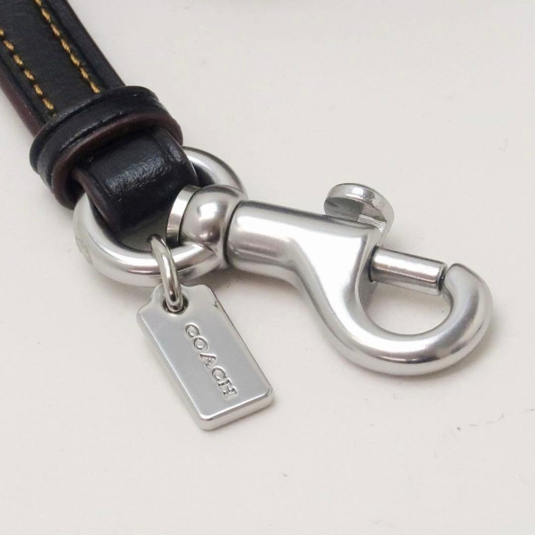 限定値下✨新品✨コーチ　サングラスケース　メガネ　アイウェアケース　レオパード