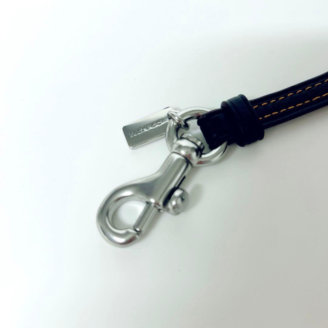 限定値下✨新品✨コーチ　サングラスケース　メガネ　アイウェアケース　レオパード