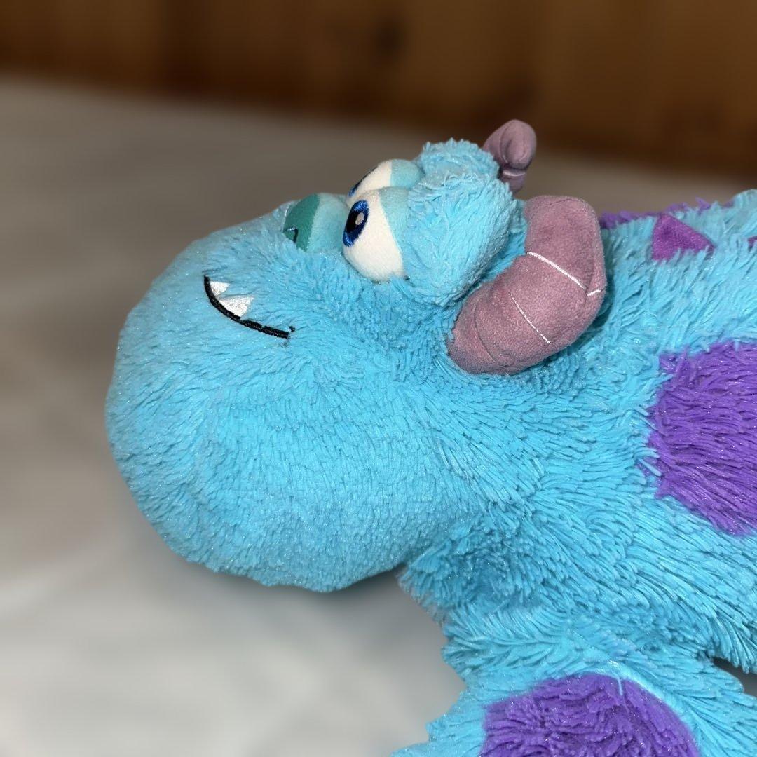 僕の相棒サリー。