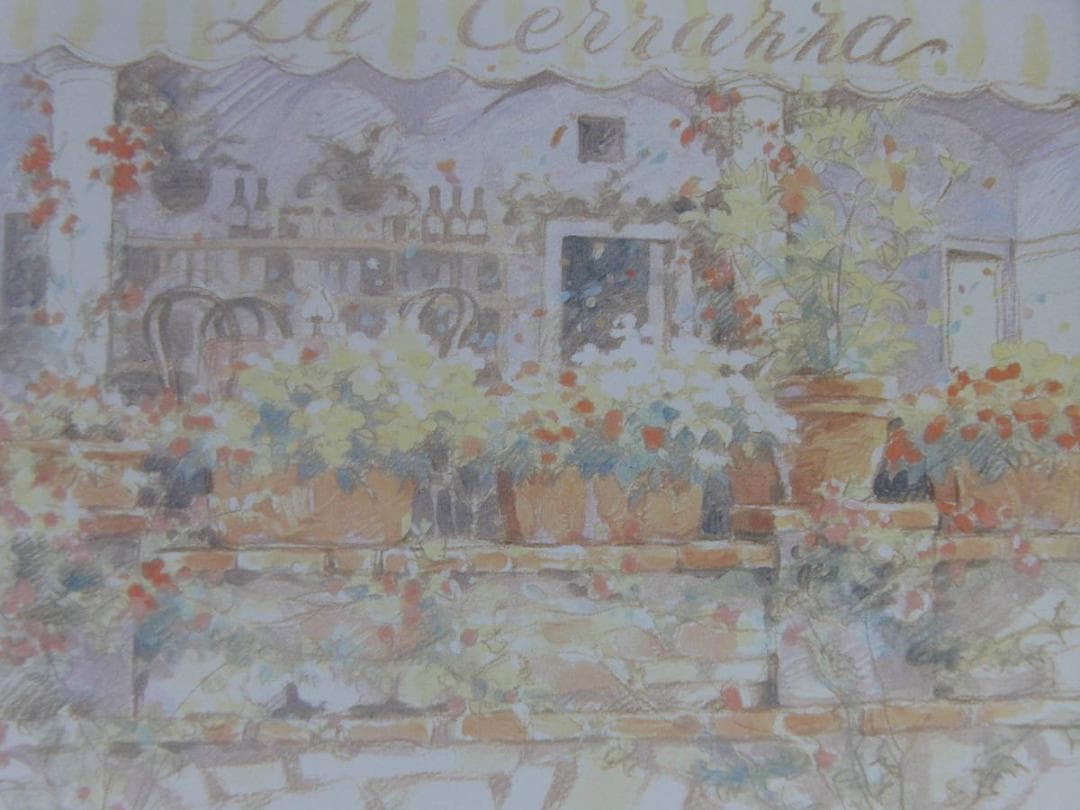 笹倉鉄平、【鉢植えのテラス】、希少な額装用画集より、状態良好、新品額装付