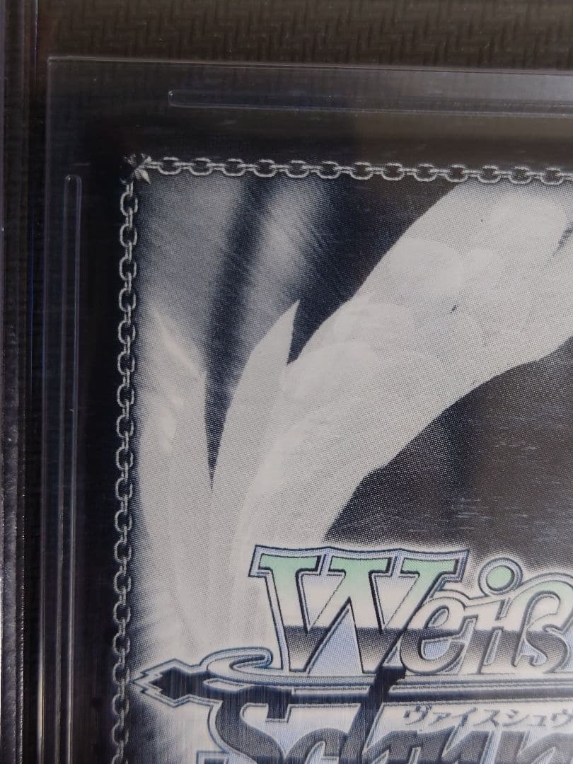 雲仙 箔押しサイン ヴァイスシュヴァルツ sp BGS10