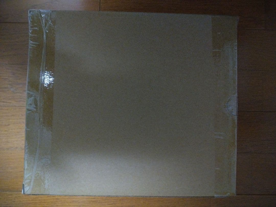 聖闘士聖衣神話EX レオアイオリア OCE　輸送箱未開封品　魂ネイション 限定