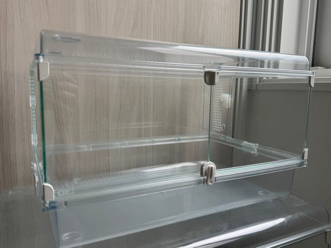 ハムスター２匹すぐ迎えられるセット