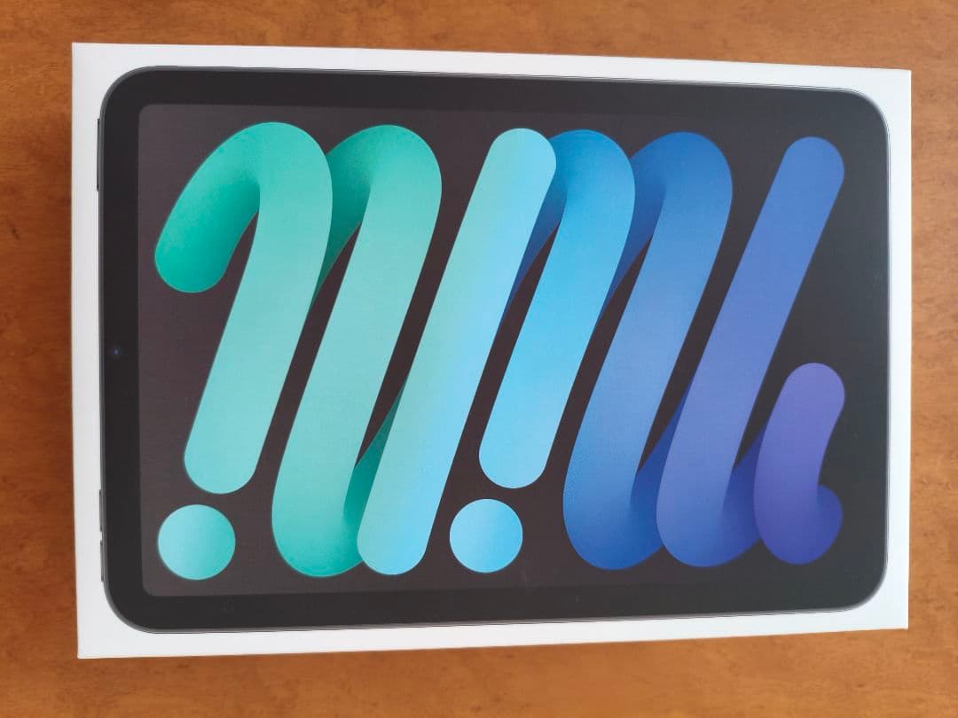 【美品】Apple iPad mini A17Pro（第7世代）