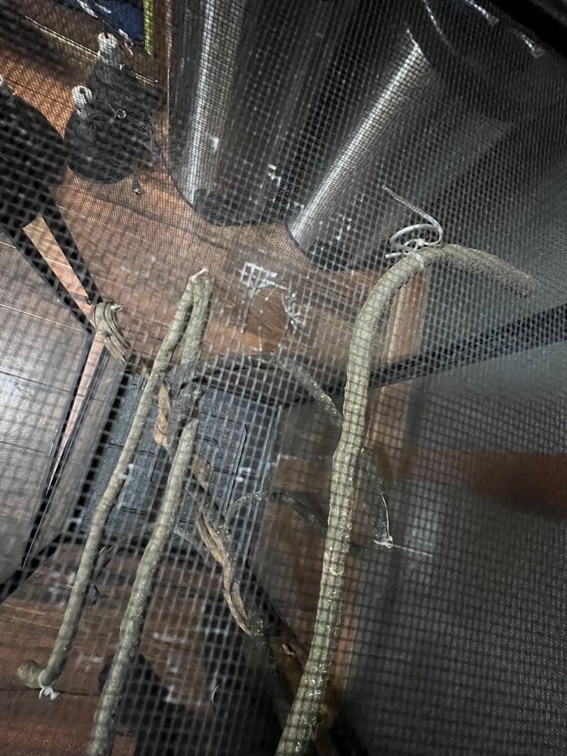 エキゾテラメッシュゲージセット