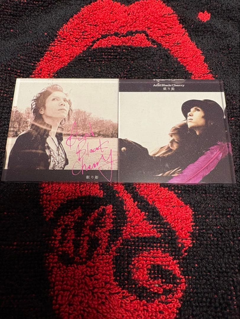s*r様 Acid Black Cherry マグネット　眠り姫