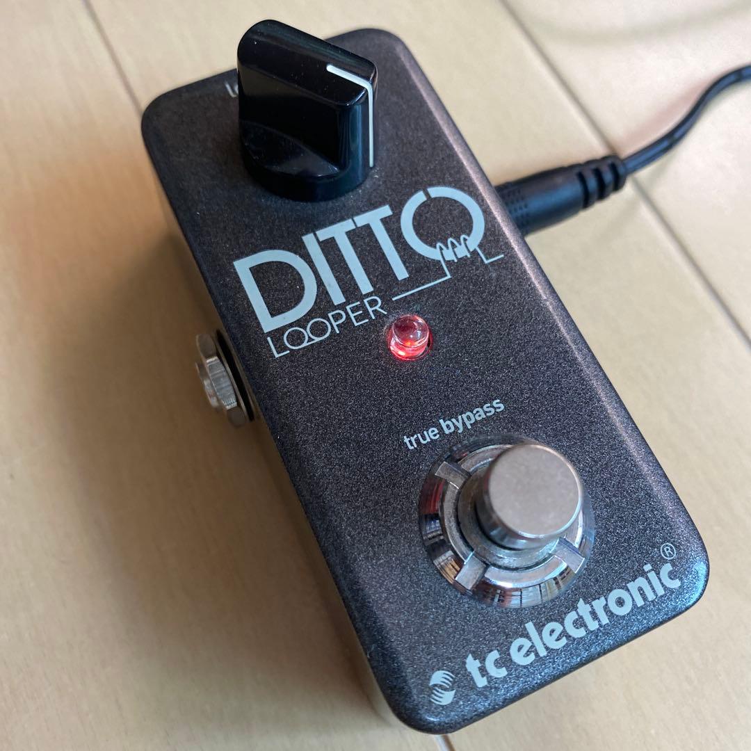 ギター TC Electronic Ditto Looper