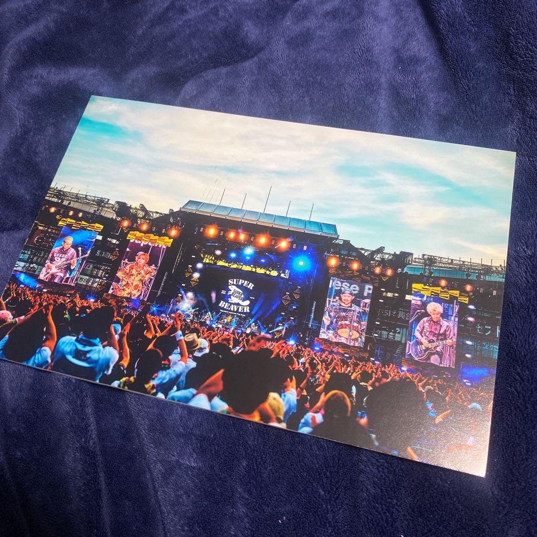 SUPER BEAVER ZOZOマリンスタジアム パネル