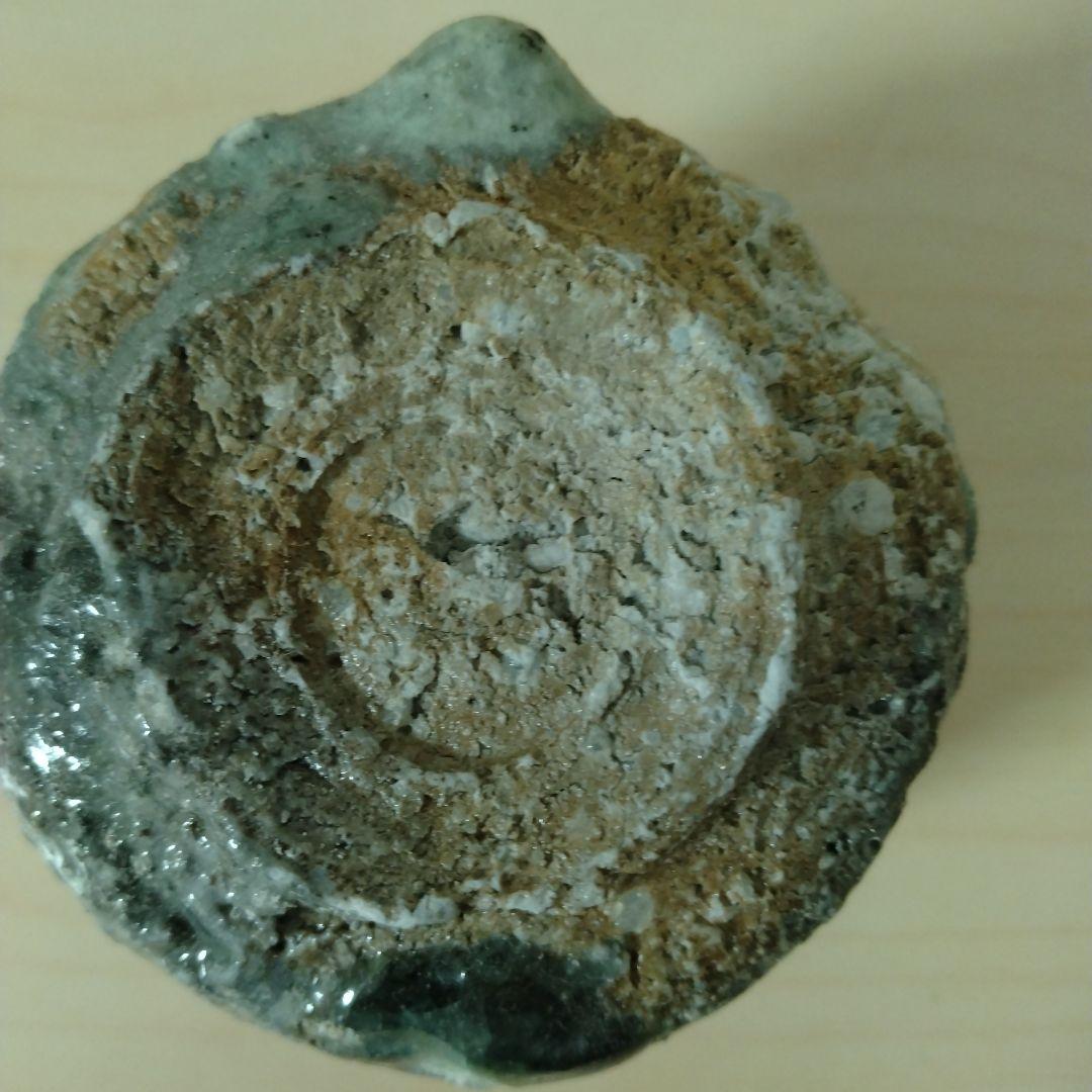 杉本祐　信楽ぐい呑　箱付　未使用　カタツキあり