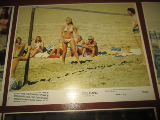 コレクション california dreaming (RARE!!lobby card!!)