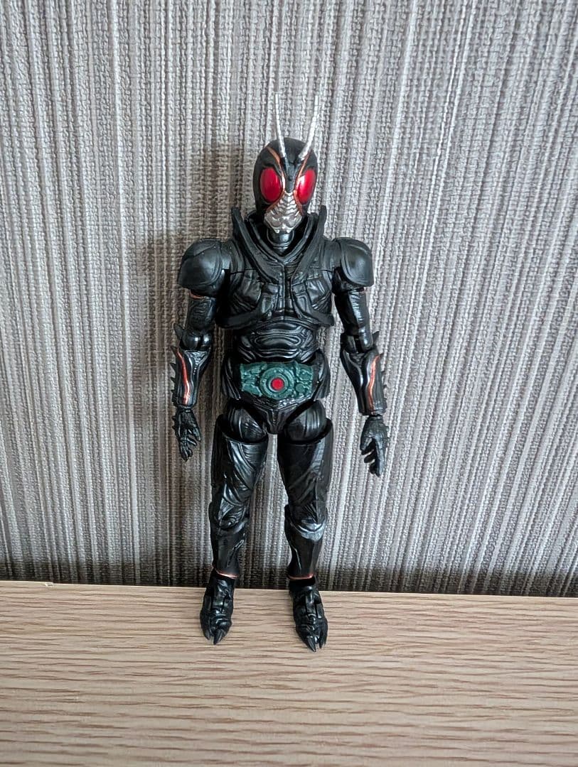 装動、掌動セット