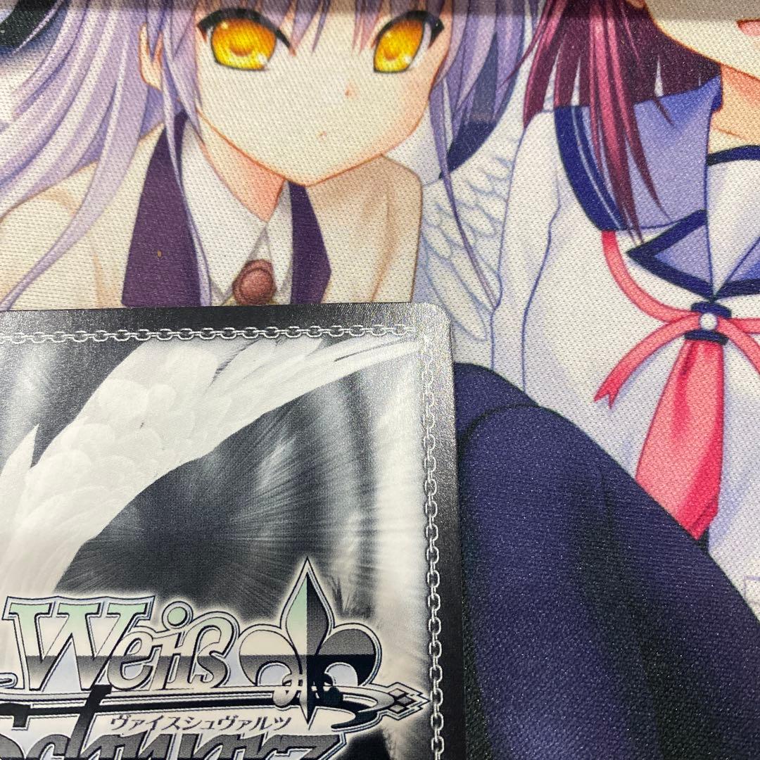 ヴァイス 校内一の変人 ハルヒ　サイン SP