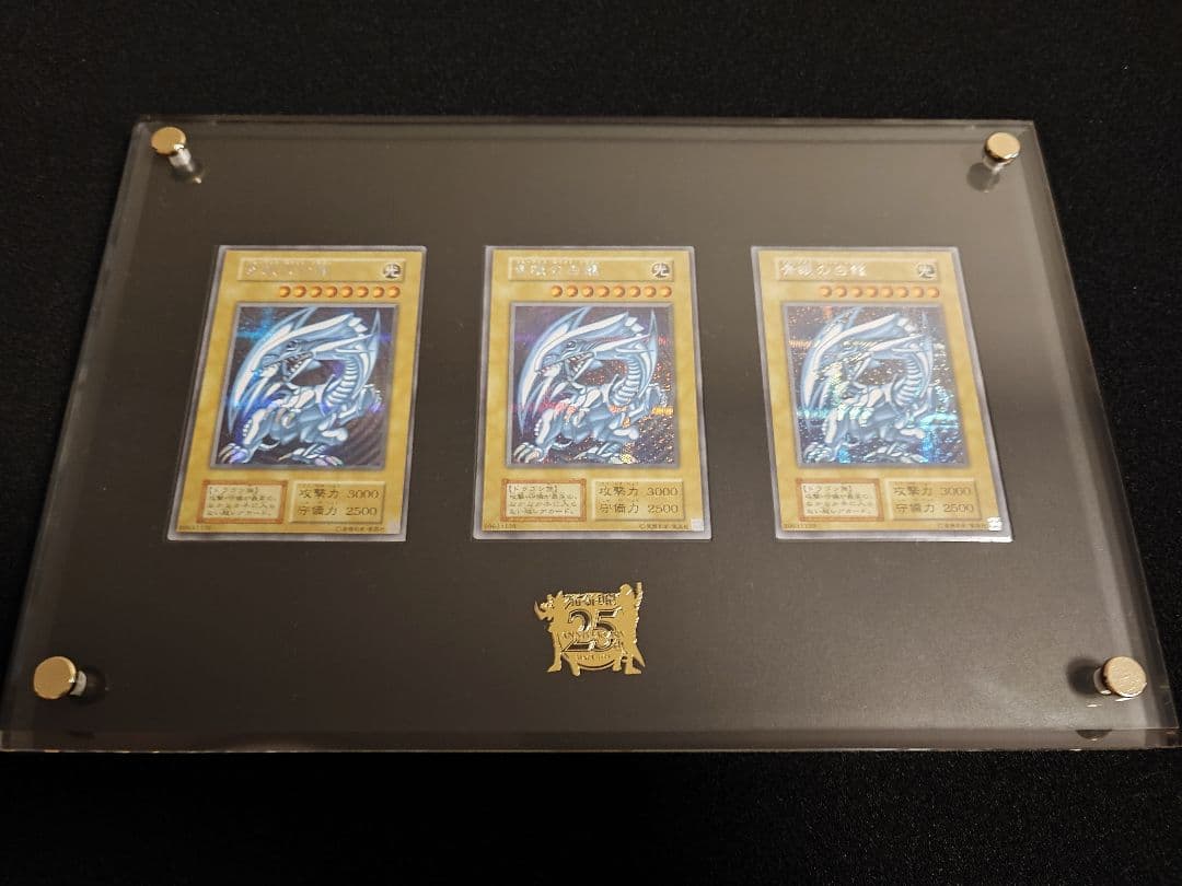 25th 海馬セット　シクブル3枚ディスプレイ付き