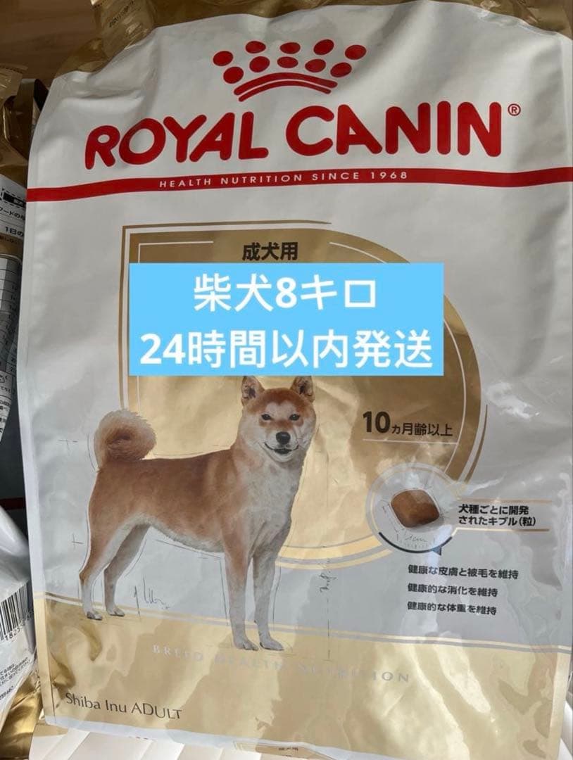  CANIN 柴犬用 ドライフード 8kg