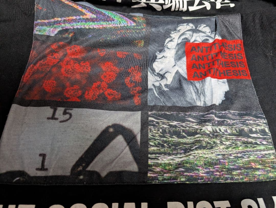 the GazettE 15周年 暴動区 愚鈍の桜 Tシャツ ガゼット