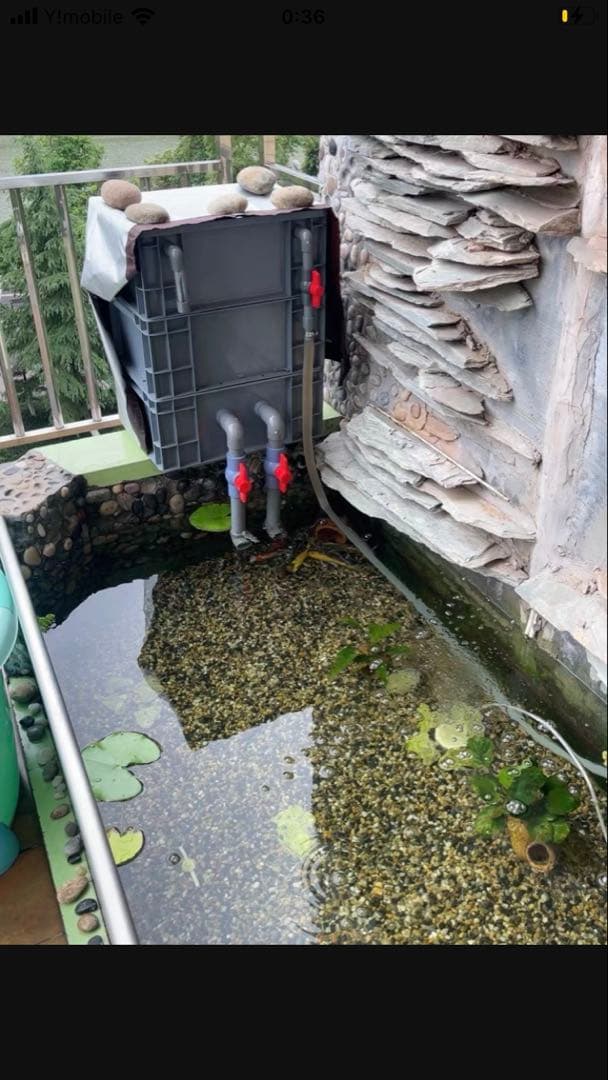 市場最安値、水中ポンプ25w付き大型水槽万能濾過装置濾過外部式濾過層送料込み