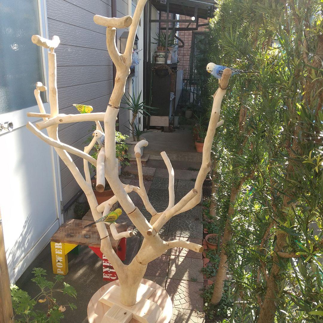 インコバードアスレチック楽園シリーズ④キャスター付