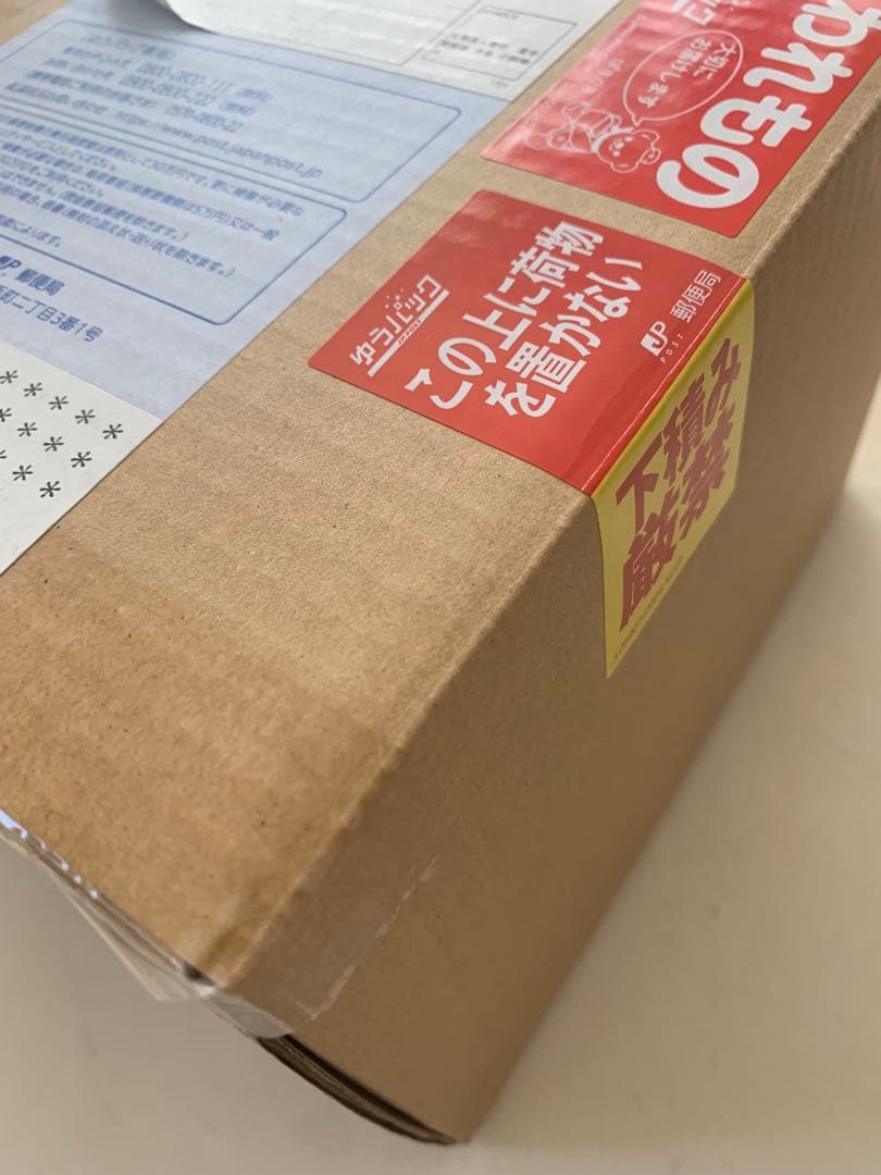 遊戯王 レッドアイズブラックドラゴン レリーフ PSA7