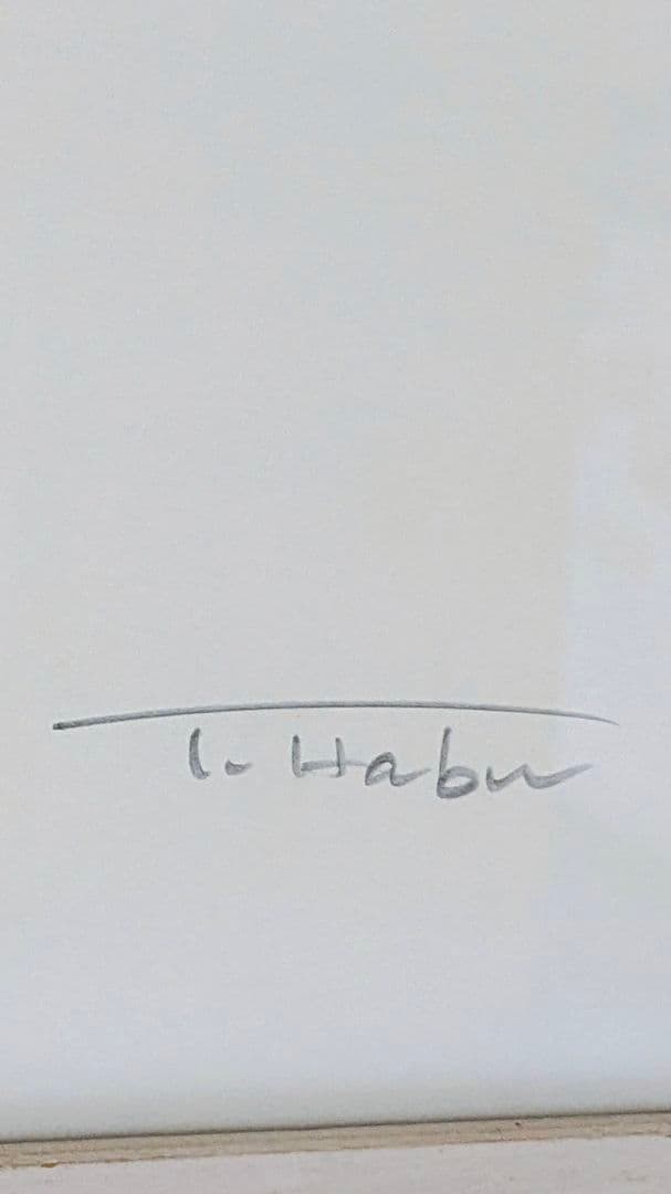 写真家HABU　額装作品