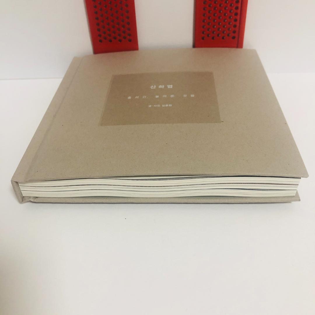 山荷葉-流れて行った、放してやったものたち 韓国語 SHINee ジョンヒョン