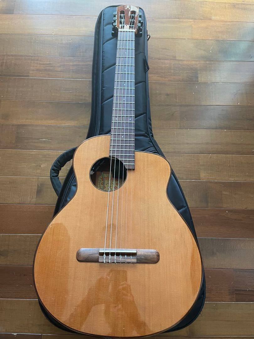 aNueNue Bird MN14E 【ミニギター】【エレガット】