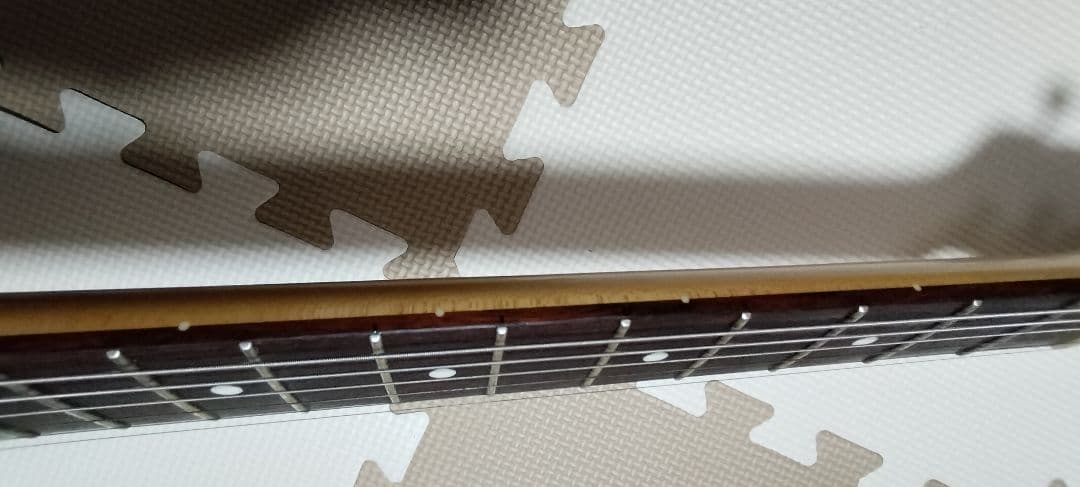 ギター Fujigen Neo Classic Series NCST-20R