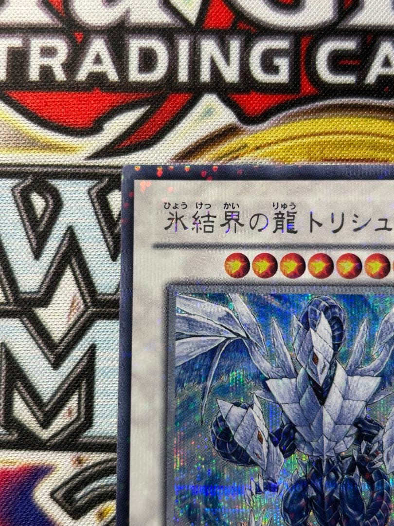 ぽ*ん様 氷結界の龍トリシューラ DT08-IP042