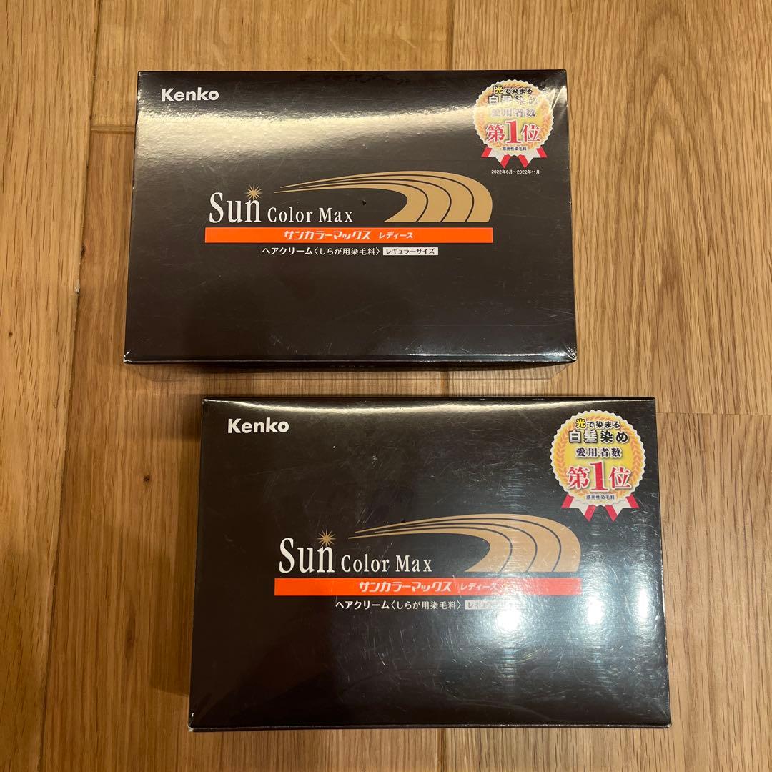 Kenko Sun Color Max ヘアクリーム 75g×2個セット