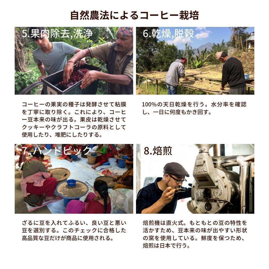 ○オーガニックコーヒー ストロング フェアトレード 1kg コーヒー豆 ネパール