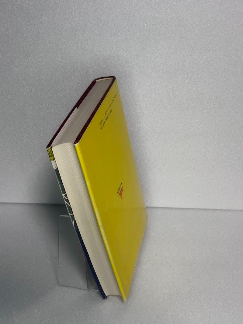 宝瓶宮福音書 リバイ・ドーリング著 イエス・キリストの生涯 秘教・神秘キリスト教