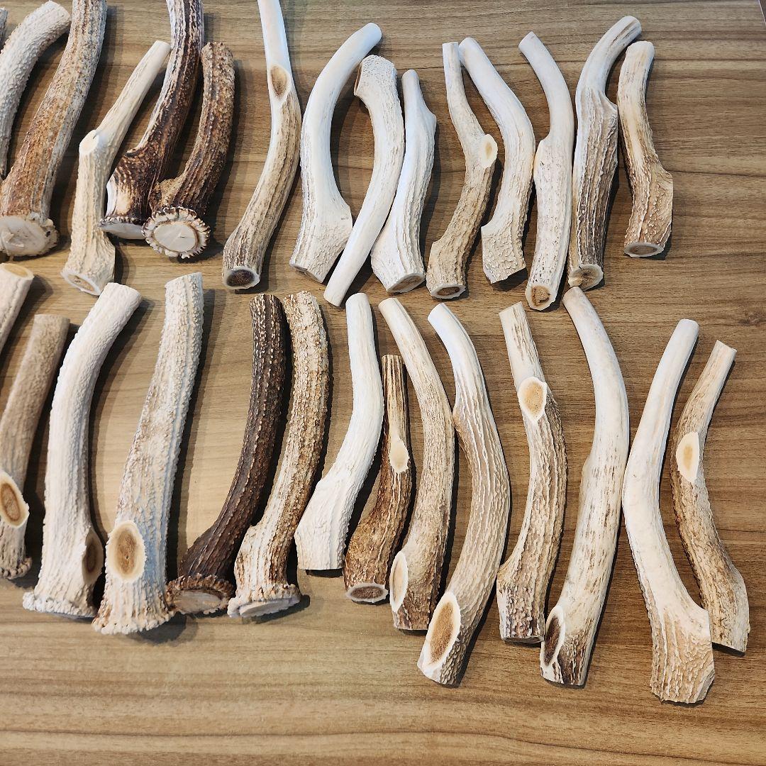 鹿の角　ランダム５kgセット