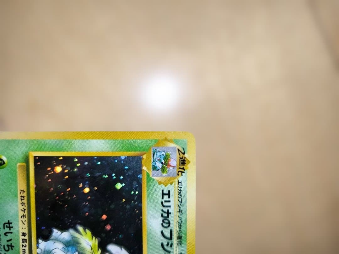 【旧裏面/限界値下げ】No.003[★]エリカのフシギバナ　2枚セット