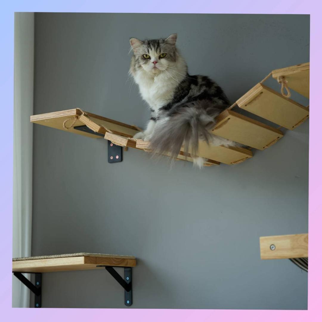 ☆シンプル　吊り橋　キャットウォーク　ステップ　木製