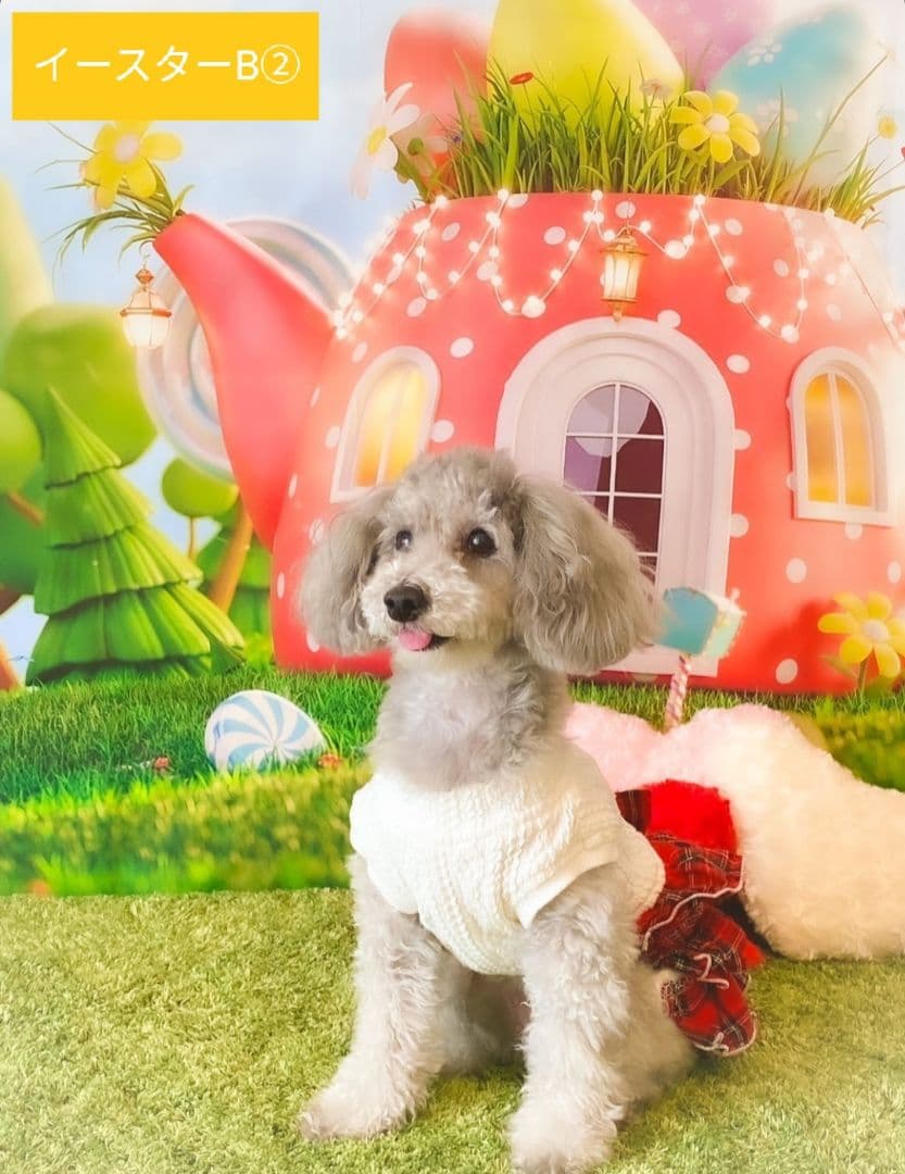 背景布【　ガーデンL　】ニューボーンフォト、ペット、キッズ、ドール撮影用