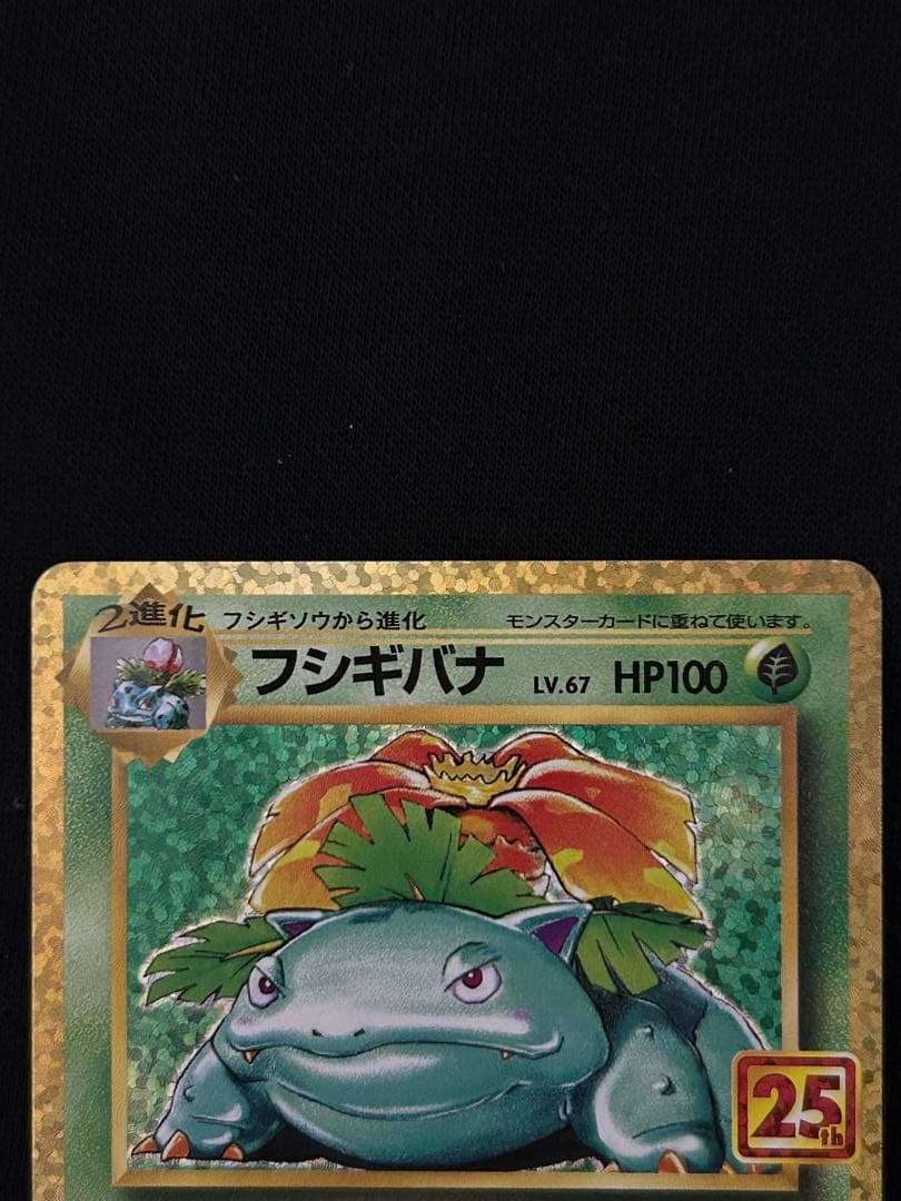 【大特価】カメックス プロモカードパック 25th ANNIVERSARY