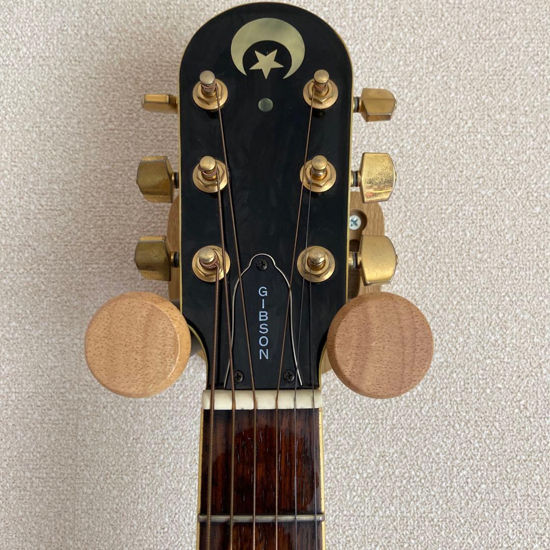 極稀少★エピフォンEO-2/B(エレアコ) Epihone EO-2/B 蝶々