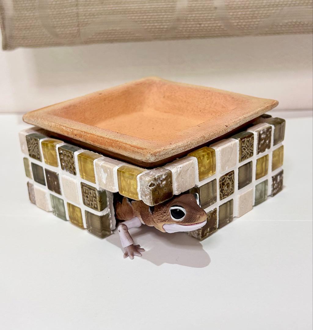 しんしんウェットシェルター＆水入れ