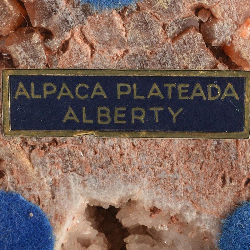 ALPACA PLATEADA Y　フクロウ　梟　置物　C　6772