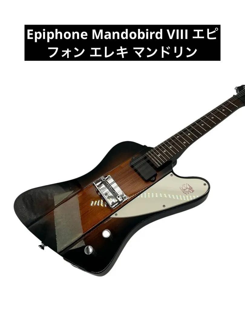 弦楽器 MANDOBIRD VIII