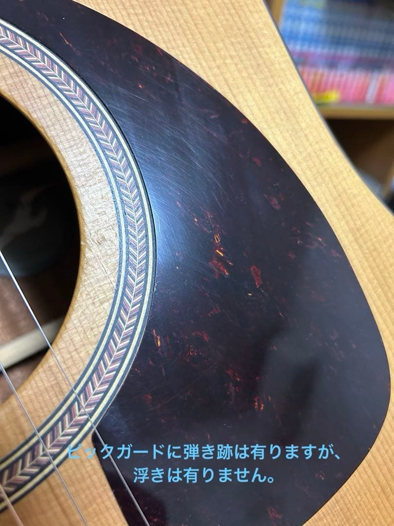 シーガル M6 スプルース　アコースティックギター