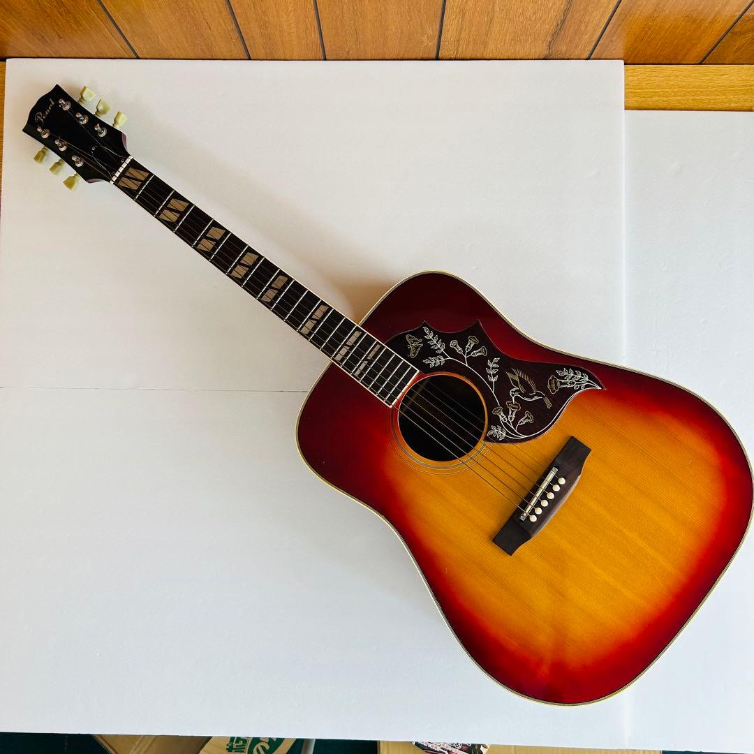 アコースティックギター パール　ハミングバード　ハードケース