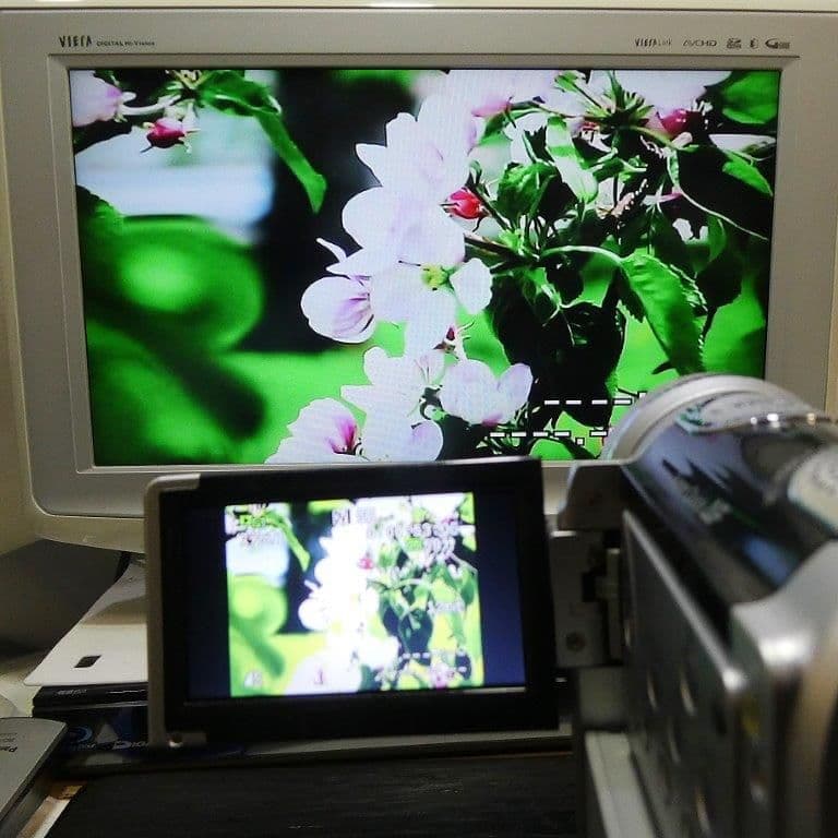 動作良好 キャノン IVIS HDV HV10 MiniDVビデオ DVD化に