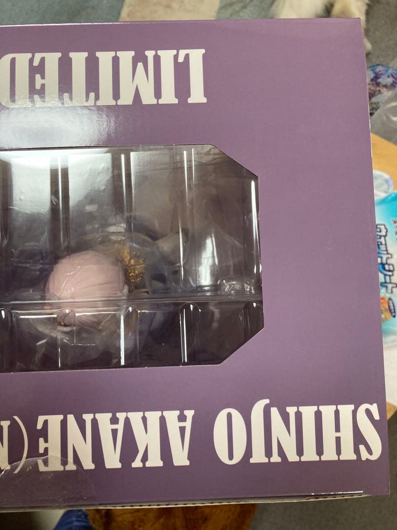 新庄アカネ　ニューオーダー　ユニオンクリエイティブ　限定版　フィギュア