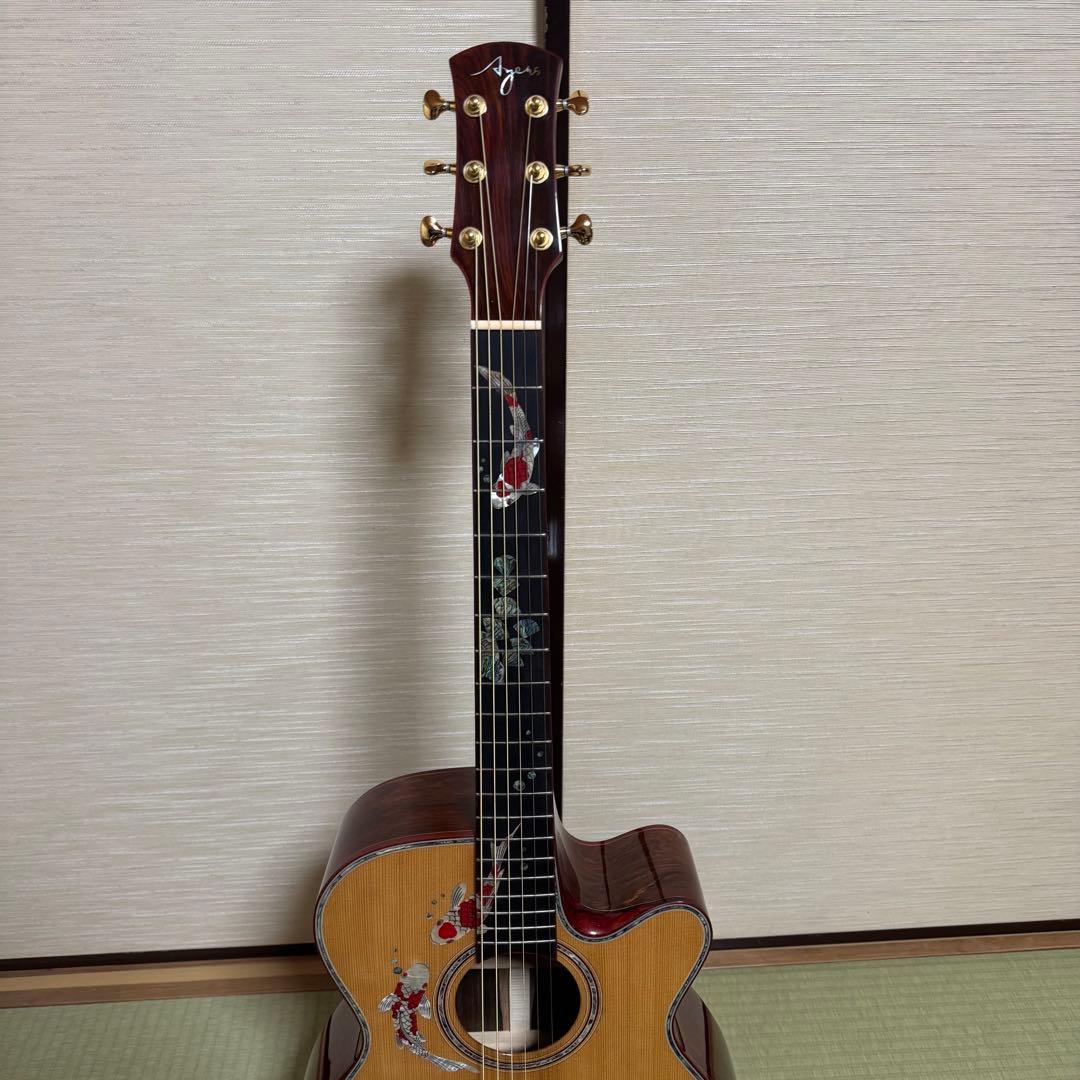 Ayers アコースティックギター CustomShop 限定版 ココボロ 錦鯉
