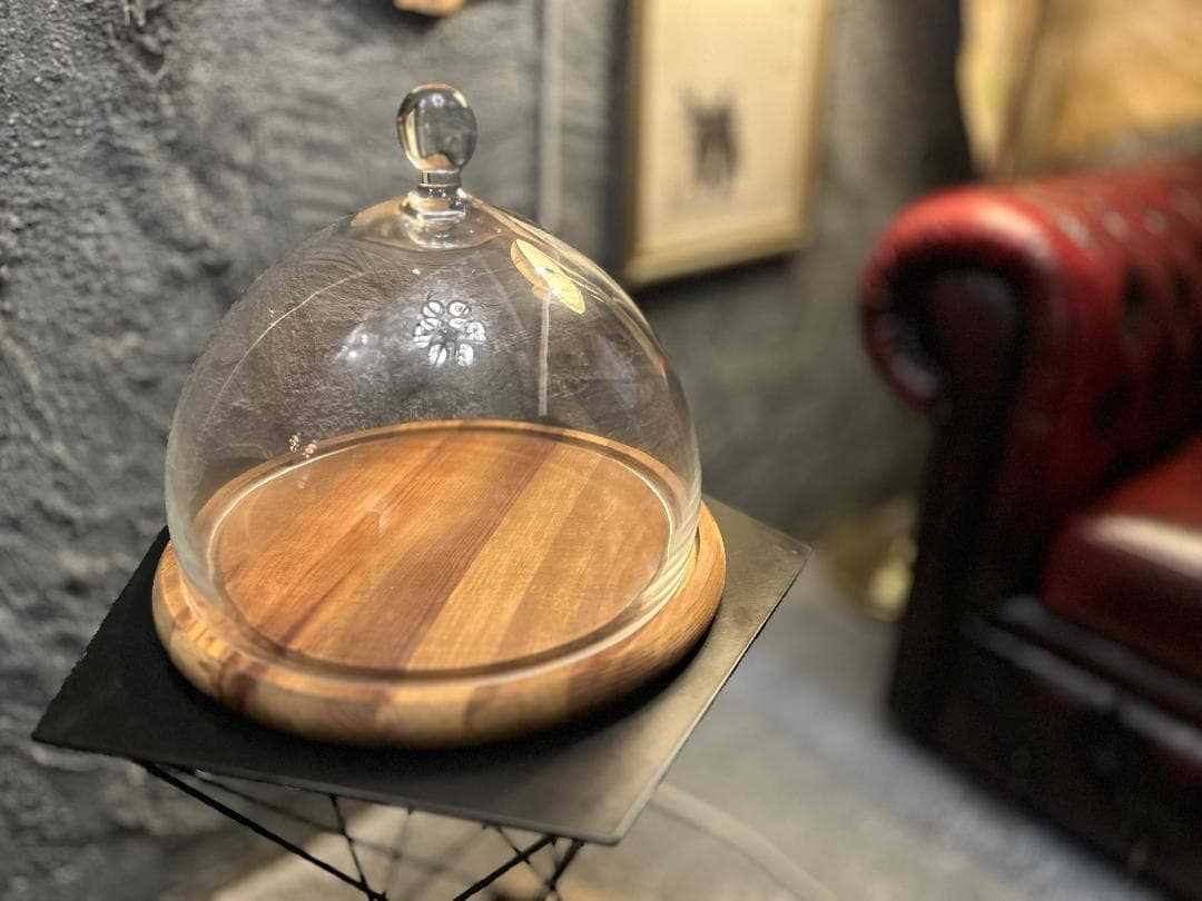 ｟希少・終売・美品｠DULTON / ダルトン　ガラスドーム　ディスプレイケース