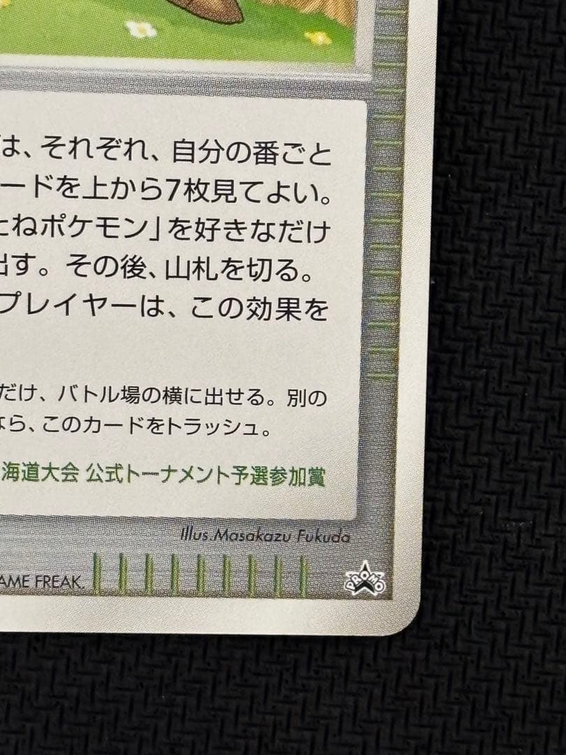 ポケモンパルシティ　北海道　大会　プロモ
