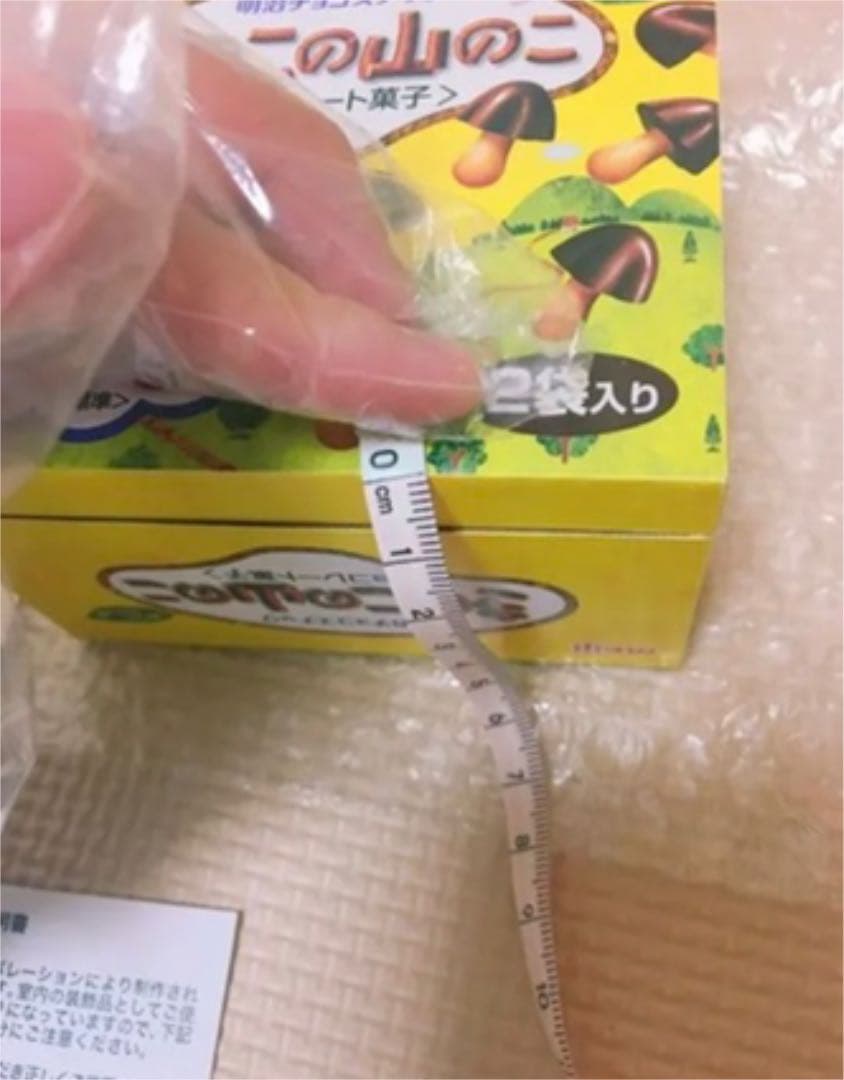 非売品❣️明治　きのこの山　ミニチュアハウス　当選品　新品未使用　世界に10個